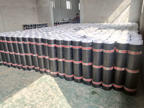 sbs改性沥青防水卷材 3.0mm厚地下室防水材料 sbs防水卷材