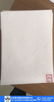 长丝聚酯胎厂家 山东海王 眉山长丝聚酯胎