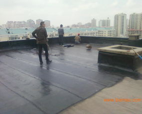 佩恩厂家c预铺法施工, 佩恩厂家c预铺法施工生产厂家, 佩恩厂家c预铺法施工价格