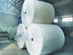 【兰花王防水材料提供的长纤聚酯胎口碑怎么样--广西长纤聚酯胎】兰花王防水材料提供的长纤聚酯胎口碑怎么样--广西长纤聚酯胎批发价格,厂家,图片,潍坊市兰花王防水材料 -