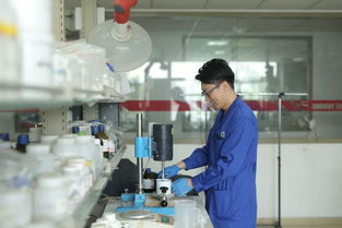 防水款的 月饼 ,你喜欢哪种馅儿