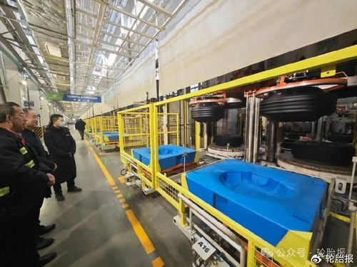 李明大使高度肯定玲珑轮胎兹雷尼亚宁工厂的现代化建设水平