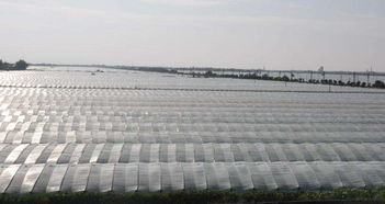 湖南pvc农膜价格