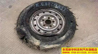 tom网 东莞新华利