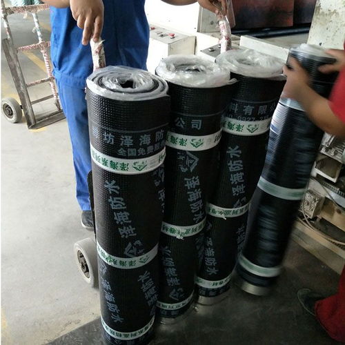 sbs改性沥青防水卷材 屋面防水 10卷材 经久耐用型卷材