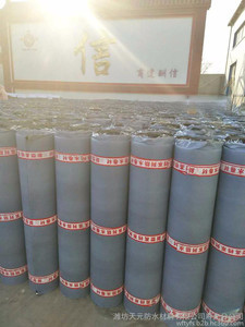 【天元供应 自粘 国标Ⅰ 型 聚酯胎 4.0mm 自粘聚合物 改性沥青防水卷材 可支持定做 欢迎致电来询】价格_厂家_图片 -