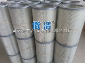 多种 可定制 空气净化 聚酯纤维 空气过滤 粉尘滤筒 固安县牛驼镇强瑞过滤器材厂