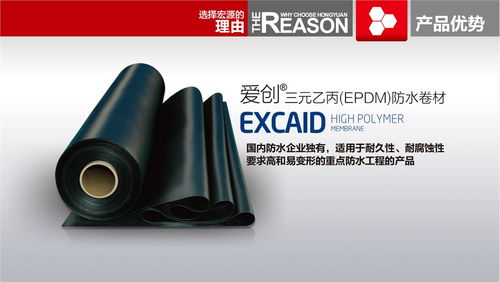 百步亭专业防水价格