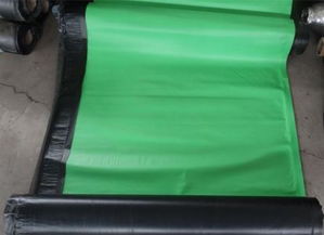 本溪sbs聚酯胎防水卷材价格