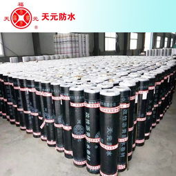 潍坊天元sbs改性沥青防水卷材4mm聚酯胎 20 ,防水材料质量保证图片,潍坊天元sbs改性沥青防水卷材4mm聚酯胎 20 ,防水材料质量保证高清图片 潍坊天元防水材料公司,