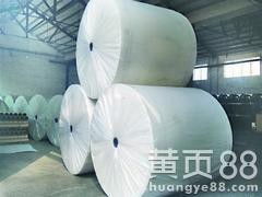 【北京长纤聚酯胎——想买质量好的长纤聚酯胎上哪】-