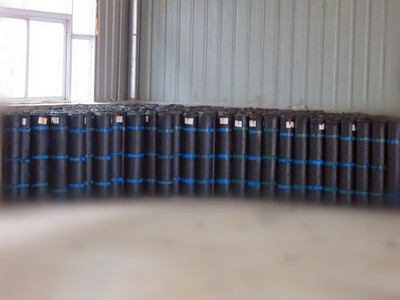 供应河南聚酯胎SBS厂家,楼顶专用防水卷材,河南SBS厂家-郑州华为防水材料