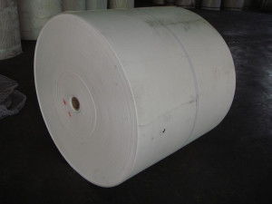 聚酯胎的特性与应用