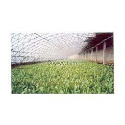 优质大棚膜厂家直销——山东青州恒丰聚酯胎大棚膜