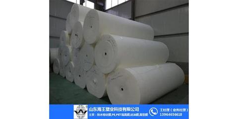 张掖长丝聚酯胎_山东海王_长丝聚酯胎价格