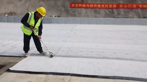 只知道自粘胶膜和聚酯胎 殊不知s clf才是预铺反粘的完成形态