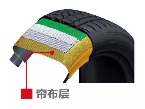 不是轮胎不好,而是路有坑