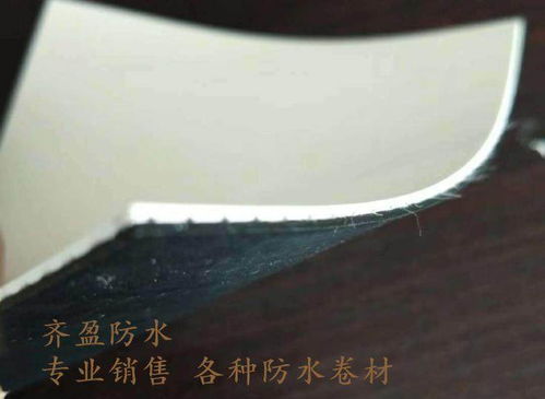 欢迎咨询 辽宁 app改性沥青防水卷材 价格