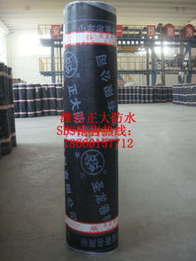 潍坊厂家供应圣龙牌SBS防水卷材 高品质聚酯胎材料助力河南建筑防水